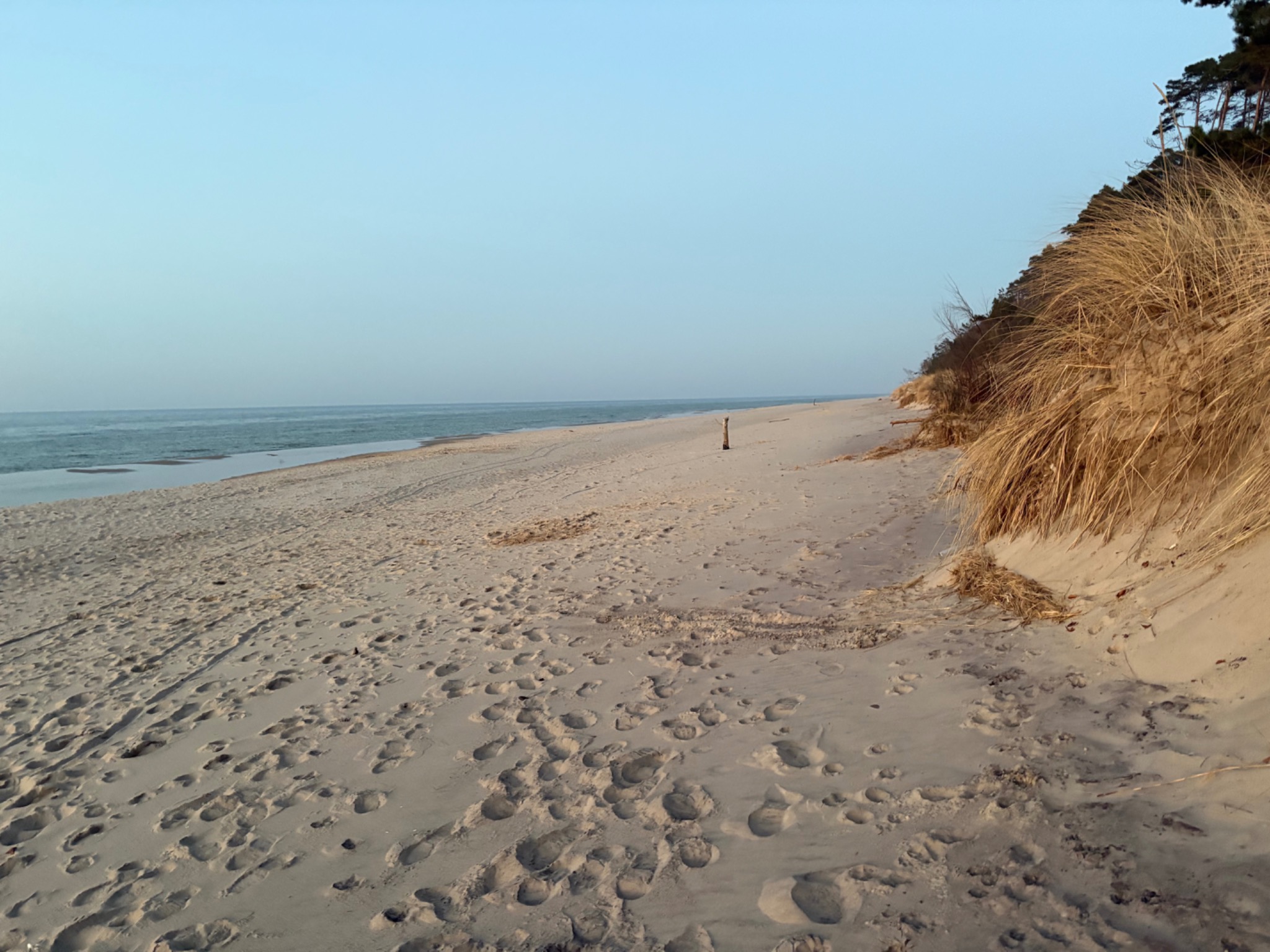 Dzika plaża na wyspie Wolin
